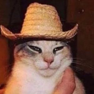 Meet your Posher, Sidney